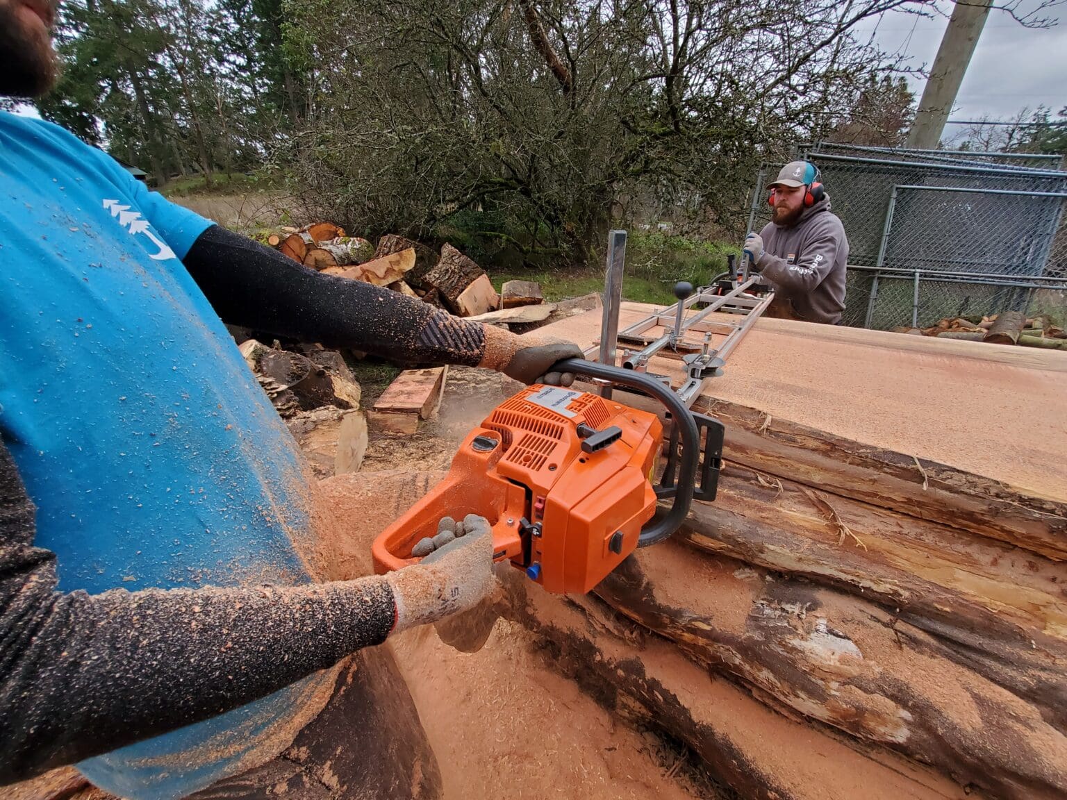 Tree Services Victoria Anchor Tree Service Top Rated Victoria Arborist