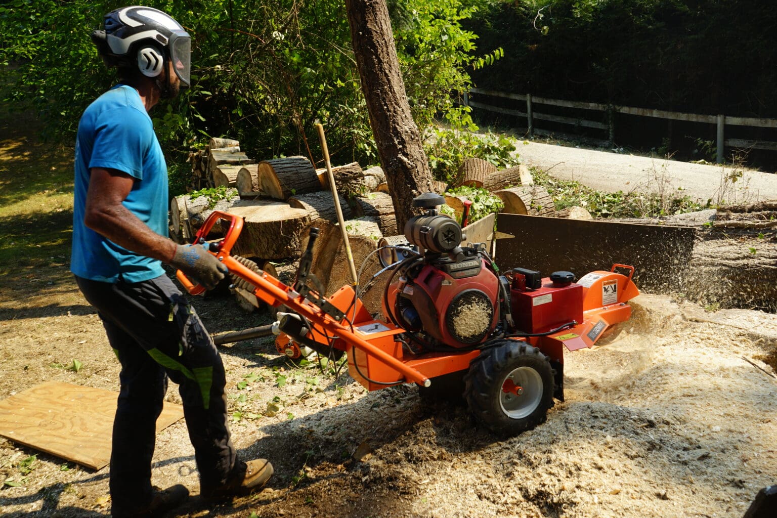 Tree Services Victoria Anchor Tree Service Top Rated Victoria Arborist