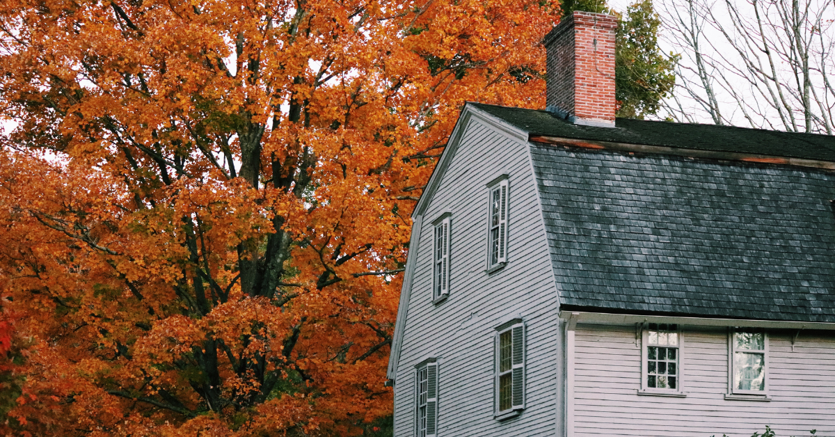What Happens if a Tree Is Too Close to Your House in Victoria, BC